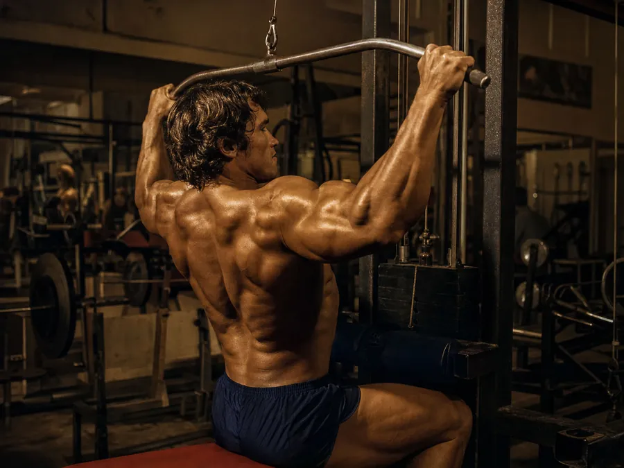 Lat Machine Pulldowns (Detailed)