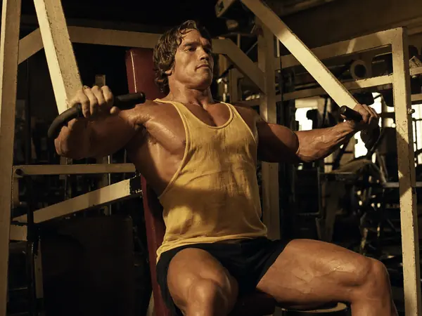 Machine Chest Press
