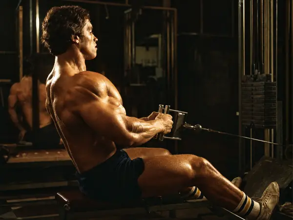 Seated Cable Row